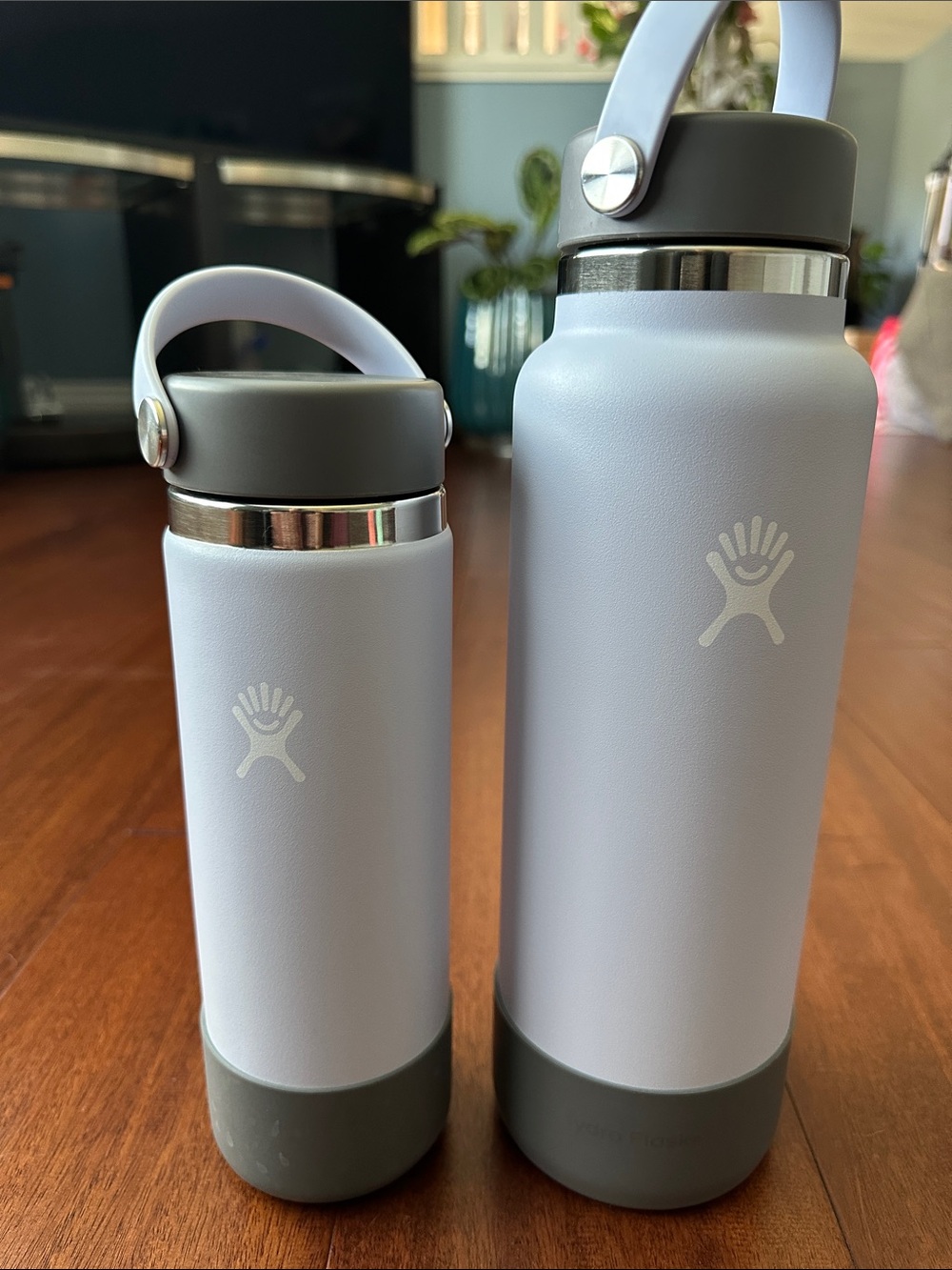 Hydro Flask Lavender Stainless Steel Water Bottles with Gray Accents (2)